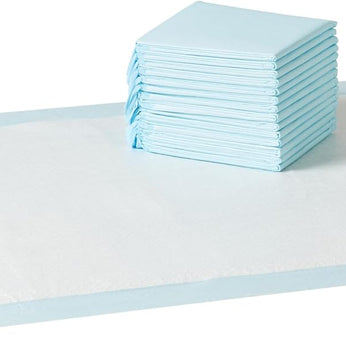 Basics Leak-Proof Dog and Puppy Potty Training Pee Pads with Quick-Dry 5-Layer Super Absorbent Design for Housebreaking, Regular Size 22x22", Blue & White, 150 Count